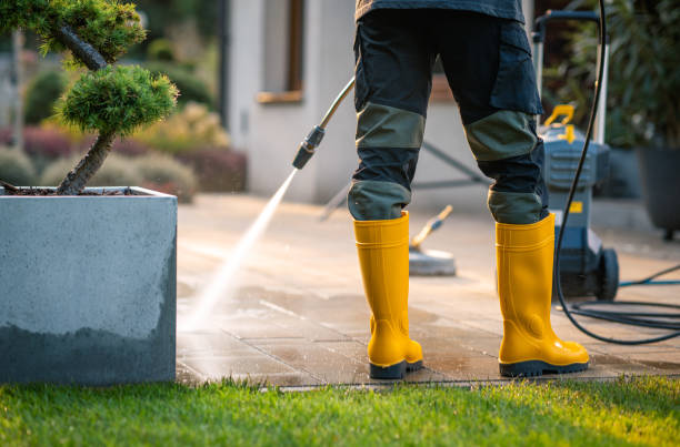 Best Power Washing Near Me  in Portola, CA